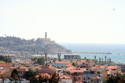 La visite de Jaffa